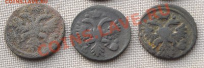 Денга 3 шт. 1736-1738г до 30.12.10 22:30 - Деннга 1736-1738 р