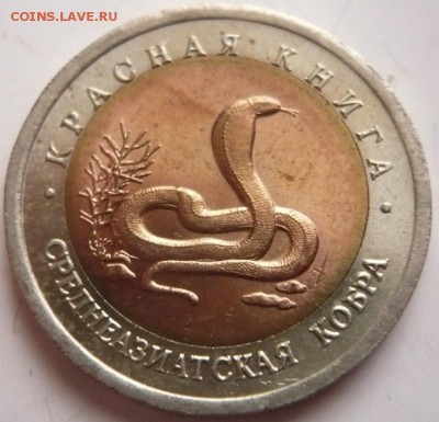 К.к. 10 руб. Кобра 1992 г. до 22-00.17.11.16 г. мск - P1370709.JPG