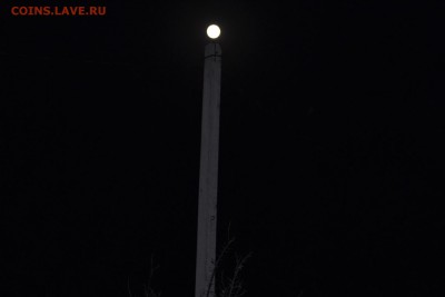 ФОТО - просто фото. Те что получились удачными. - DSC_0550