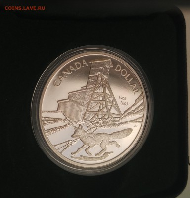 Канада 1$ 2003 Лисица, Кобальт (19.11) с рубля - IMG_20161114_105911