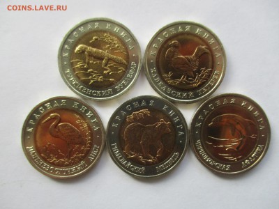 Красная книга 1993 год - IMG_8957.JPG