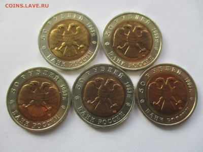 Красная книга 1993 год - IMG_8963.JPG