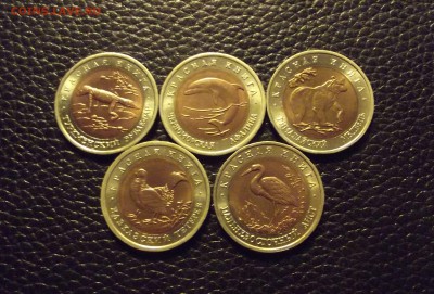 Красная книга 1993 набор из 5 монет с 200 руб до 18.11 - DSCF4236.JPG