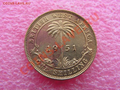 -Зап.Африка- 1 шиллинг 1951 -- 3 января 22-00 - PICT0812.JPG