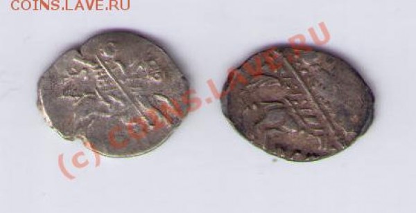 Чешуйки - CCF05032009_00001