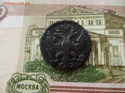 Деньга 1749 год. Рельеф.  До 21.11.2016 в 22:00 по Москве. - IMG_5468.JPG
