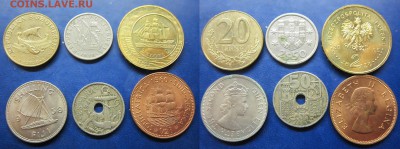 парусники пересортица 4 до 21.11.2016 - IMG_1276-11