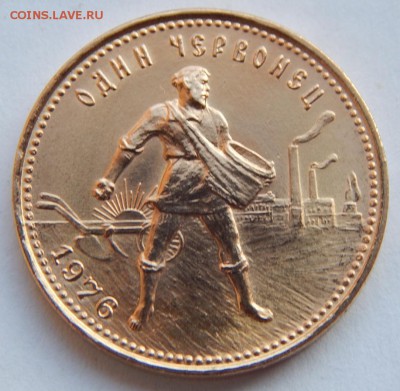 "Сеятель" 1976 года до 21:00 18.11. - IMG_0652.JPG