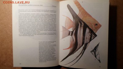 Петровицкий И. Аквариумные тропические рыбы до 18.11 22.00мс - Аквариумные тропические рыбы-2.JPG