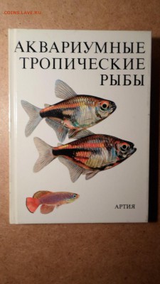 Петровицкий И. Аквариумные тропические рыбы до 18.11 22.00мс - Аквариумные тропические рыбы-1.JPG
