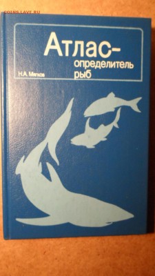 Мягков Н.А. Атлас-определитель рыб до 18.11 22.00мск - Атлас-определитель рыб-1.JPG