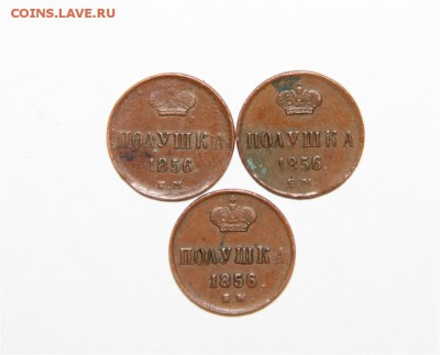 Полушки 1856г ЕМ (кабинетные) - IMG_8991 (Medium).JPG
