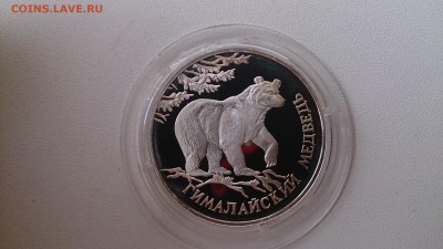 Красная книга 1994 Медведь(Ag 900) до 21.11. 22.00 МСК - DSC_3809.JPG