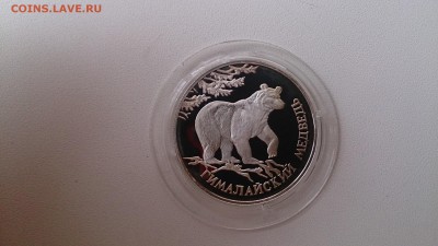 Красная книга 1994 Медведь(Ag 900) до 21.11. 22.00 МСК - DSC_3812.JPG