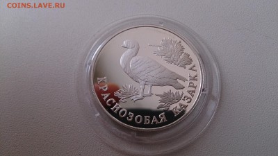 Красная книга 1994 Казарка(Ag 900) до 21.11. 22.00 МСК - DSC_3823.JPG