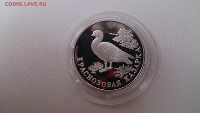 Красная книга 1994 Казарка(Ag 900) до 21.11. 22.00 МСК - DSC_3822.JPG