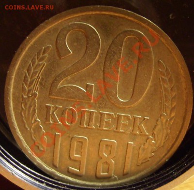 20коп. 1961г.Ф-113.До 29.12.2010г.Короткий аук - 81 1