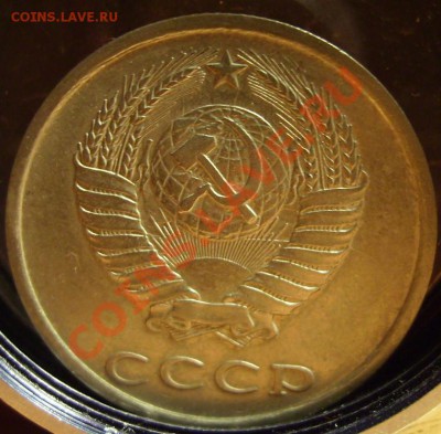 20коп. 1961г.Ф-113.До 29.12.2010г.Короткий аук - 81 2