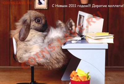 С наступающим Новым Годом (кролика, зайца, кота) - 1284798995_kollegam-krolik