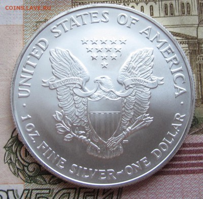1 Серебряный $ США 2006 г. до 24.11.2016 в 22-00 - IMG_3759.JPG