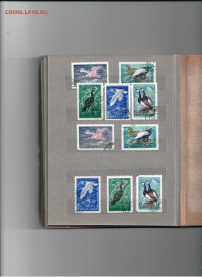 1972 СССР птицы - птицы ссср 1972 г 001