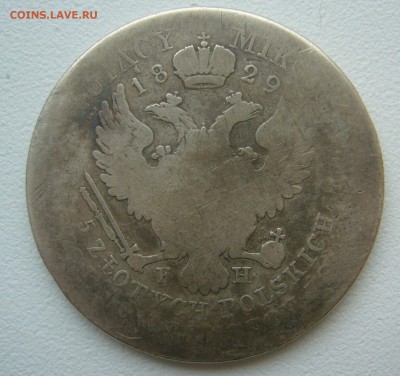 5 злотых 1829 г. FH на оценку - P1360456.JPG