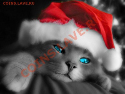 С наступающим Новым Годом (кролика, зайца, кота) - happy_new_year