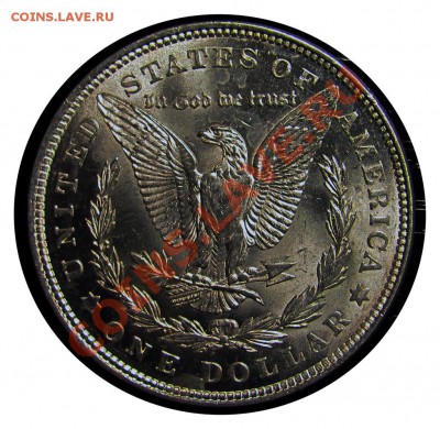 N23 Morgan Dollar 1921 "качественный" до 06.01 в 22°° - N23 Morgan Dollar 1921 UNC_21