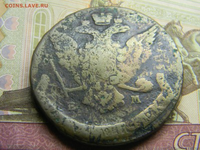 5 коп 176? ем( кабинетная) до 22.11 в 21.30 по Москве - Изображение 1109