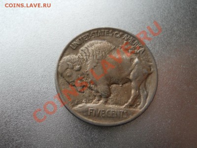 США Бизон 5 центов 1913 красивая!-) - DSCN1121.JPG