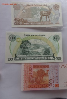 Уганда  10  1973  UNC до 24.11 в 21-15 мск - DSC04740.JPG