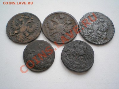 полушка 5 шт. до 04.01.11. в 22.00 мв - P1020006.1