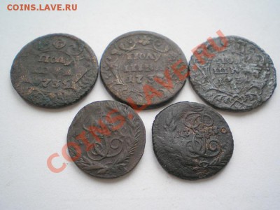 полушка 5 шт. до 04.01.11. в 22.00 мв - P1020002.1