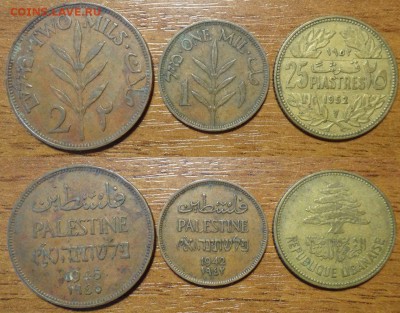 На оценку Палестина,Ливан - Палестина,Ливан