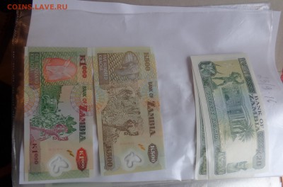 Замбия 20 квача 1989  г UNC до 21-10 мск 28 ноя - DSC04845.JPG