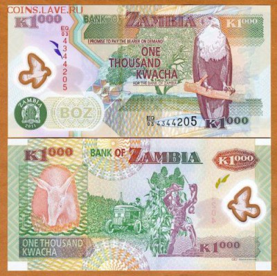 Замбия 1000 квача 2009 полимерная 28.11.16 в 22.00мск (Г854) - 1-1зам1000