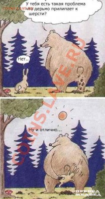 юмор - медвед и зайац жестьнах