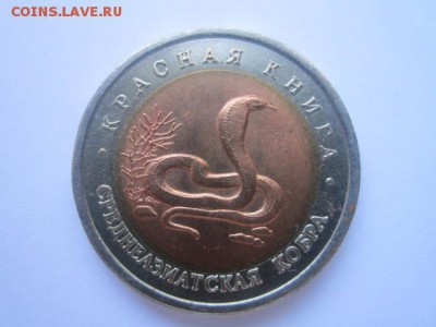 с 200 кк 1992 Кобра до 30.11.2016 в 22:30 - IMG_1306.JPG