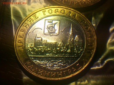  Редкие - DSC_0173.JPG