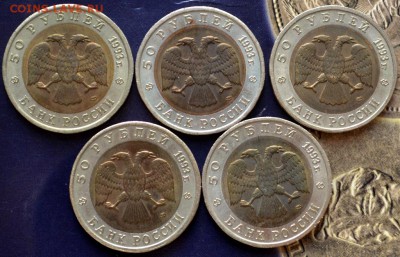 Красная книга1993г5шт в коробке до29.11.16в22:00(на картуСБ) - DSC_0552.JPG