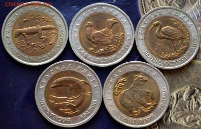 Красная книга1993г5шт в коробке до29.11.16в22:00(на картуСБ) - DSC_0543.JPG