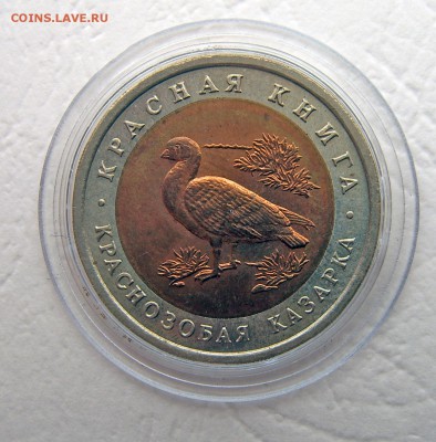 Красная книга 1992-1993 5 монет до 27.11.22-00 - казарка-1