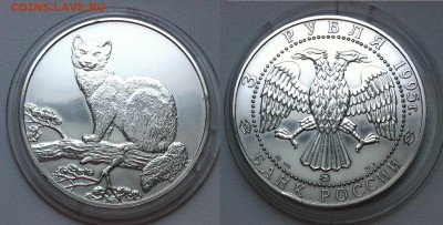 3 рубля. 1995 Соболь 30.11.2016 в (22-00 мск) - соболь.JPG