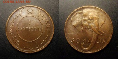 МОНЕТЫ МИРА 11-16 - Итальянское Сомали – 1 чентезимо (1950) «Слон»