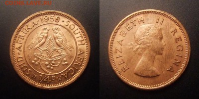 МОНЕТЫ МИРА 11-16 - Южная Африка - 0,25 пенни (фартинг) (1958) «Воробьи; Елизавета II»