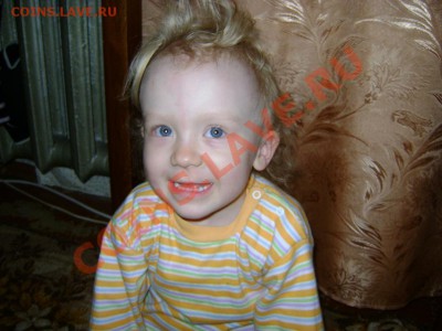 ФОТО - просто фото. Те что получились удачными. - DSC02206.JPG