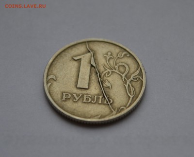 Браки на оценку - DSC_0360.JPG