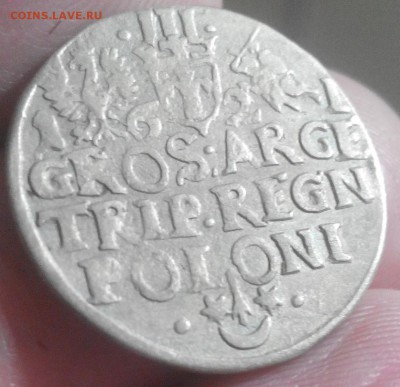 3 гроша, Сигизмунд III, 1621 до 30.11.16 - 20161127225142