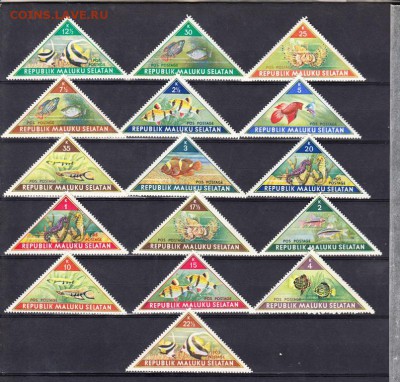 Малуку Селатам рыбки 16м - 9