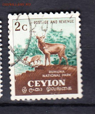 Колонии 1951 Цейлон олени - 435